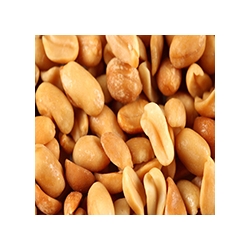 Nuts1